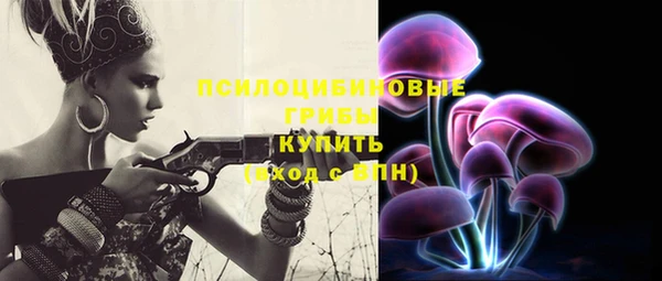 хмурый Алексеевка