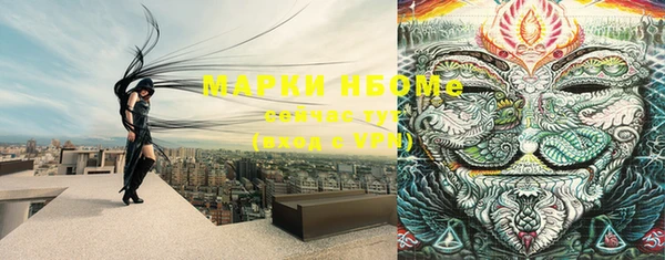 хмурый Алексин