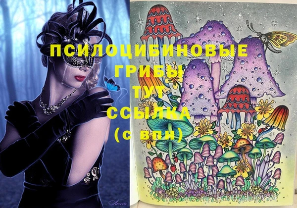 Альфа ПВП Покров