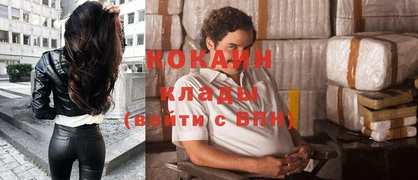хмурый Алексин