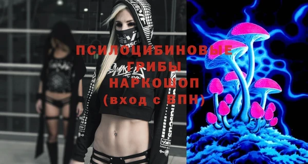 хмурый Алексеевка