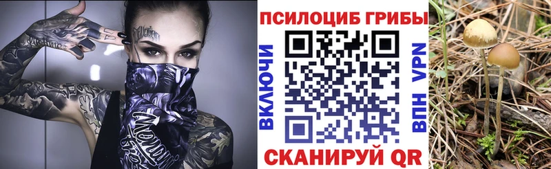 Псилоцибиновые грибы Psilocybine cubensis  Красноуральск 